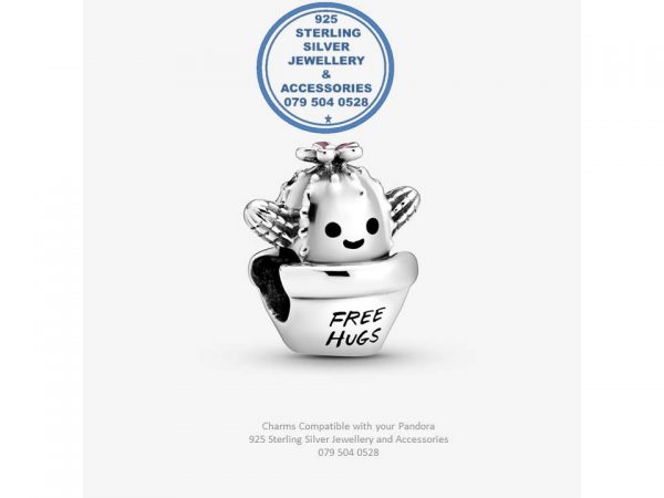 Cute Succulent Free Hugs  Sterling Silver Charm Compatible With Your Pandora. 