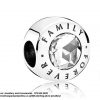 925 Sterling Silver Forever Family with cz detail Charm. Pandora Compatible